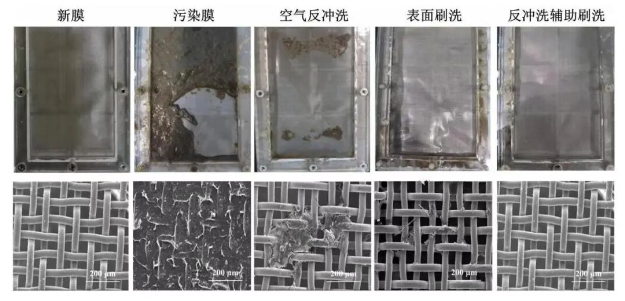 期刊 | 重力驱动式动态膜生物反应器的膜清洗再生方式优化研究